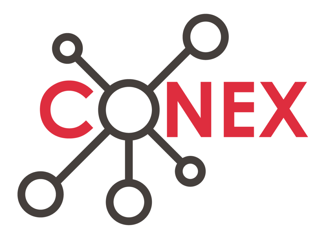 Instituto Conex